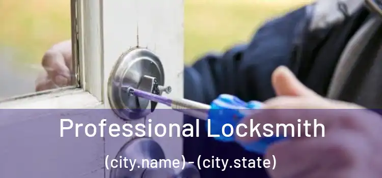 Professional Locksmith (city.name) - (city.state)